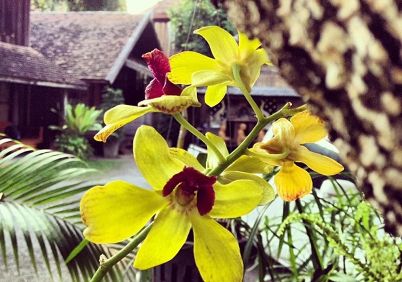 Tanita House Bed and Breakfast Chiang Mai Exterior foto